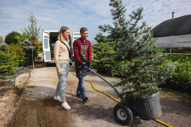 Reliable Hayward, WI Tree Care Services Solutions